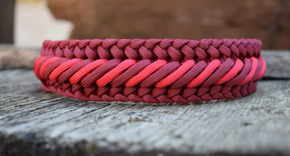 Caramel braid Dog collar