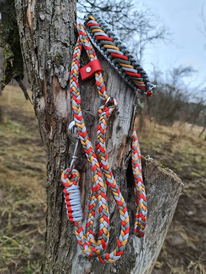 Caramel braid Dog collar