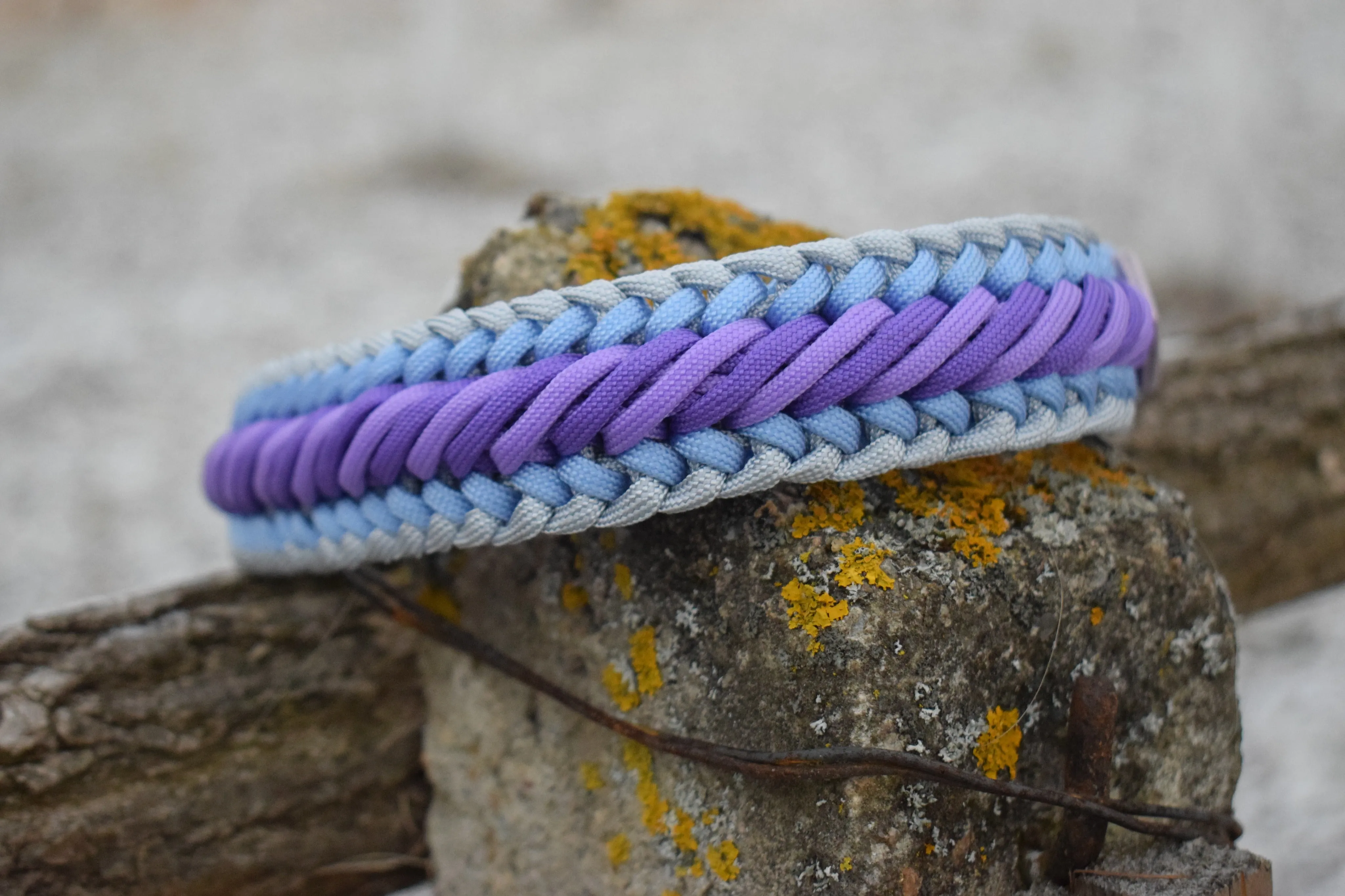 Caramel braid Dog collar