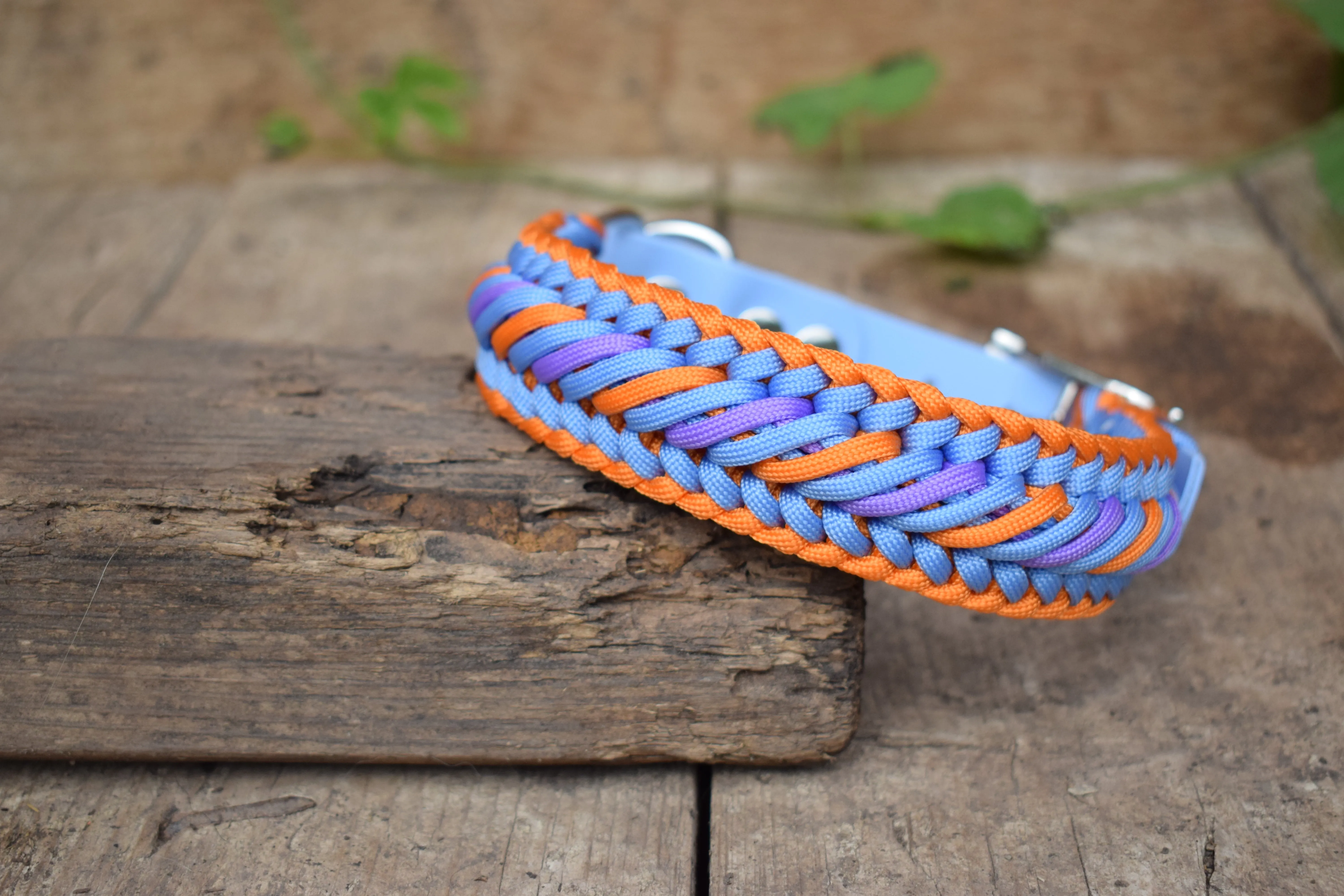 Caramel braid Dog collar
