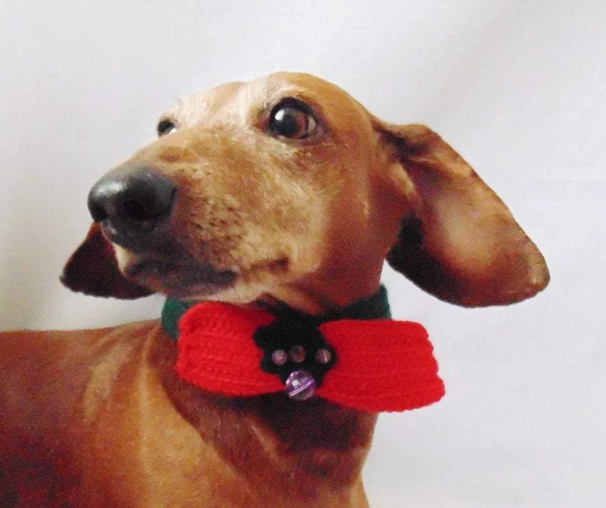 Christmas dog or cat collar