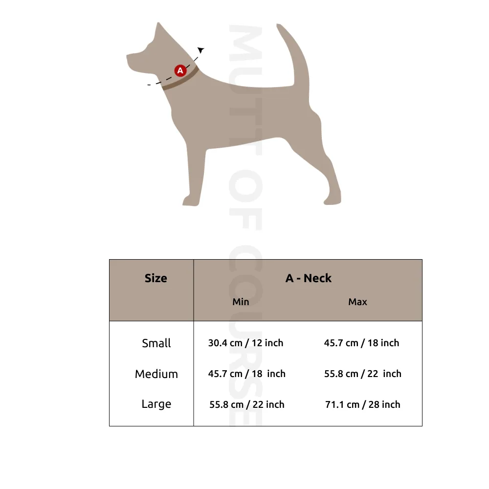 Eggs n' Bacon Collar   Leash Set