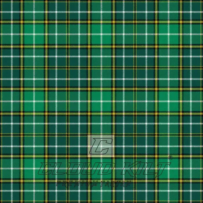 Forrester Foster Hunting Modern Tartan