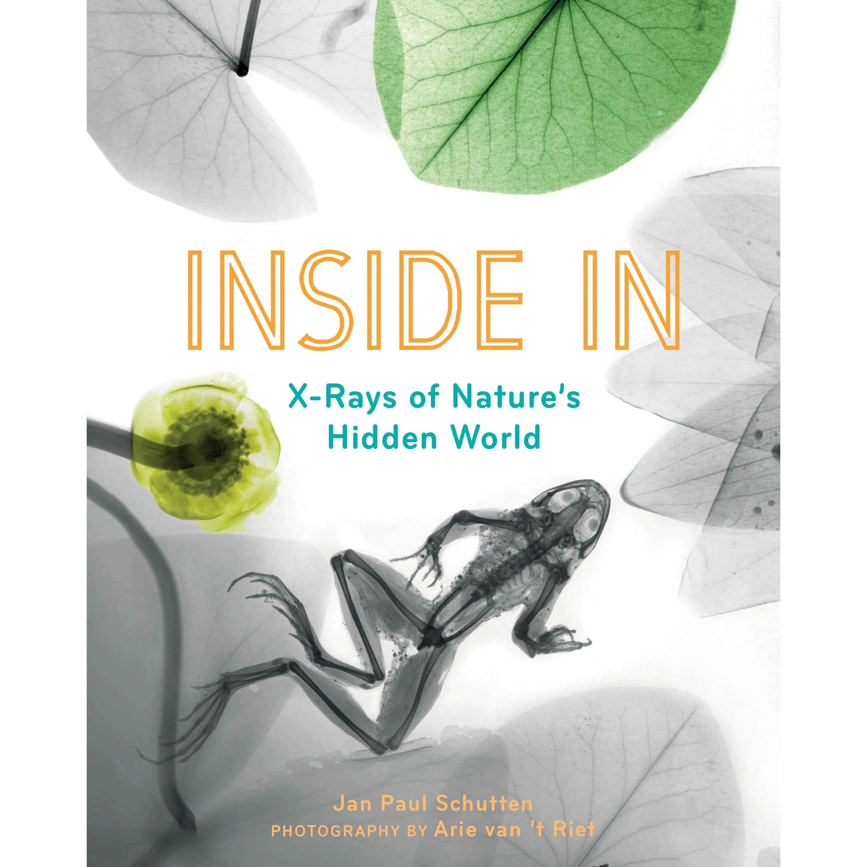 Inside In - X-Rays of Nature's Hidden World
