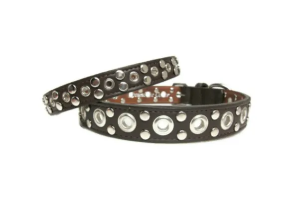 Jaxon Leather Dog Collar with Nickel Eyelet & Stud Cluster