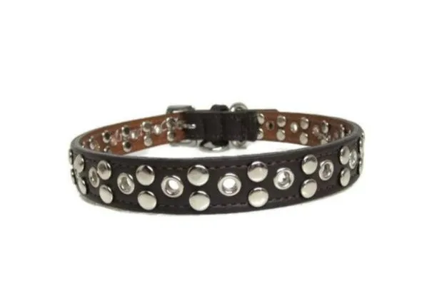 Jaxon Leather Dog Collar with Nickel Eyelet & Stud Cluster
