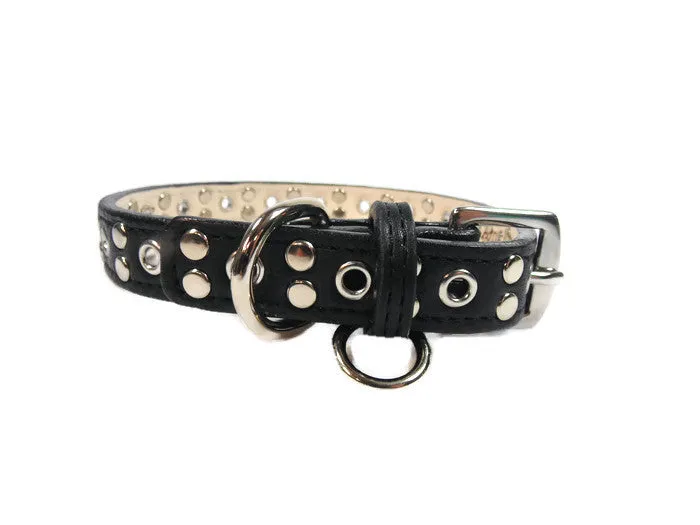 Jaxon Leather Dog Collar with Nickel Eyelet & Stud Cluster