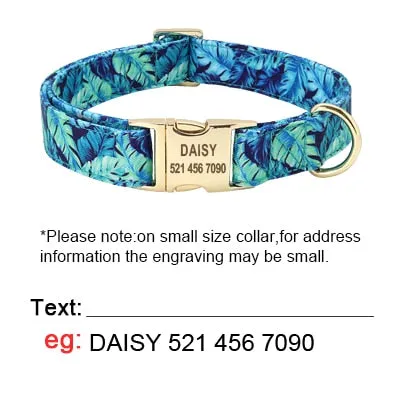 Personalized Dog Collar And Leash