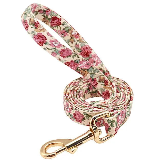 Personalized Dog Collar And Leash