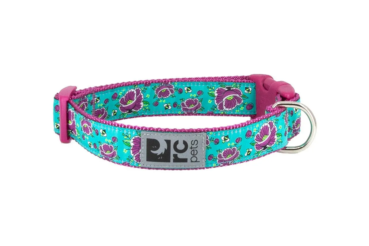 RC Pets Clip Collar - All the Buzz