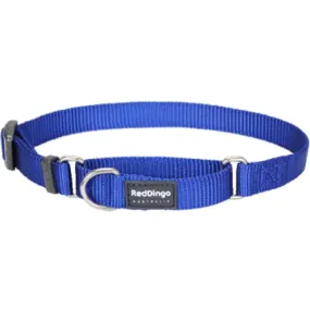 Red Dingo Martingale Half Check Dark Blue Dog Collar (4 Sizes)