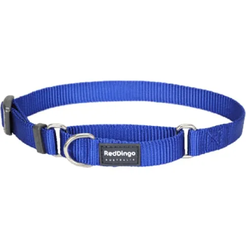 Red Dingo Martingale Half Check Dark Blue Dog Collar (4 Sizes)